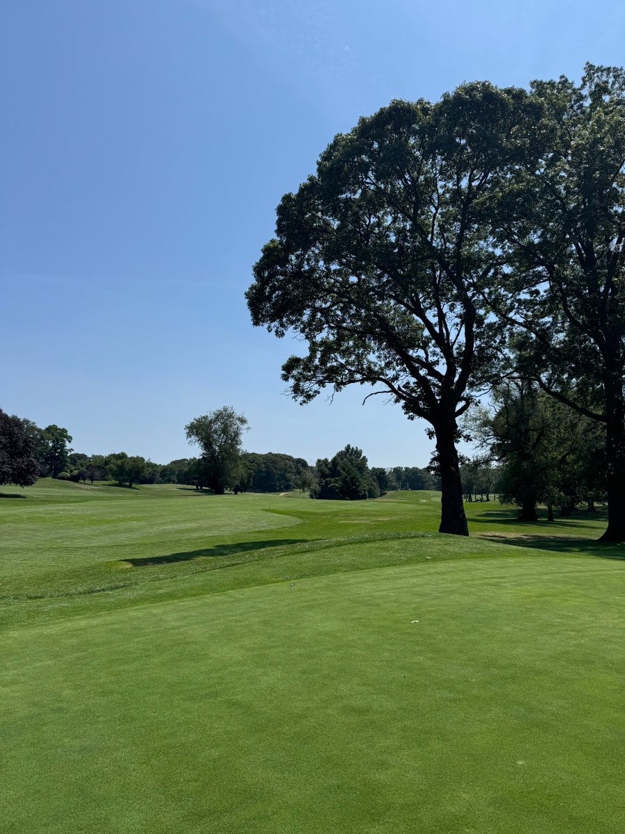 Jsfdajsg's tweet image. This is the kind of weekend I want—free and fulfilling.