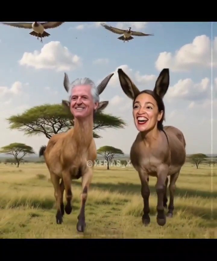 David Morrill tweet media