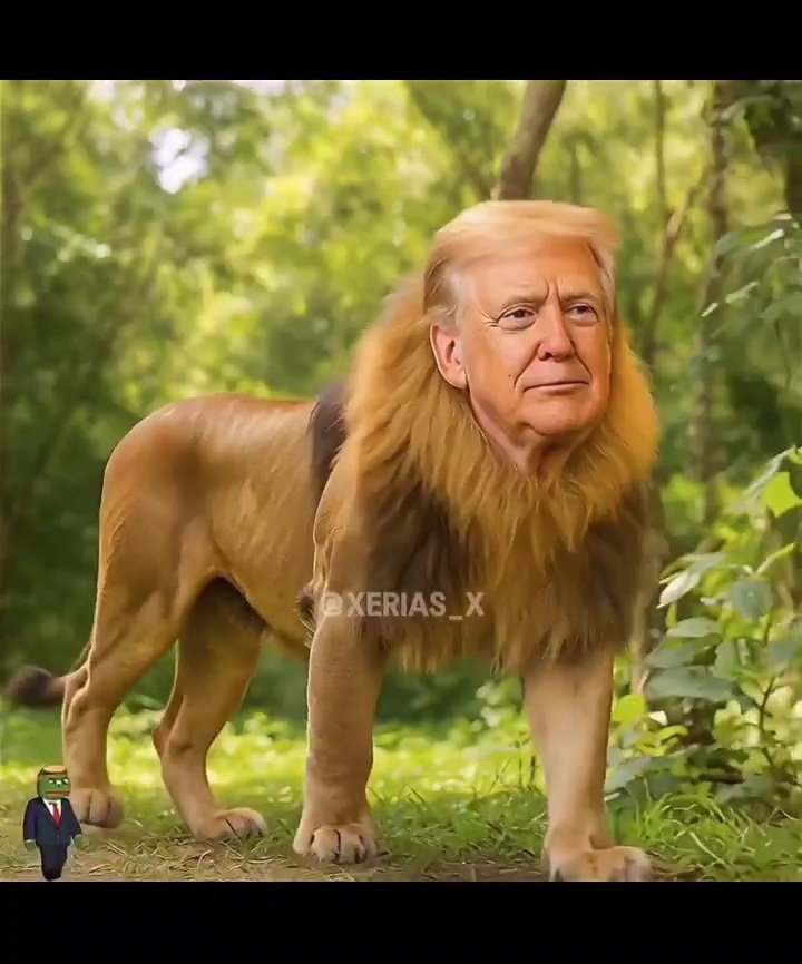 David Morrill tweet media