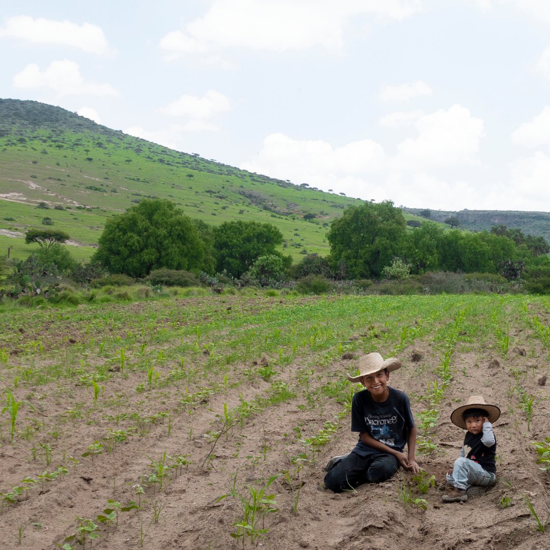 Davidson College Dining Services tweet media
