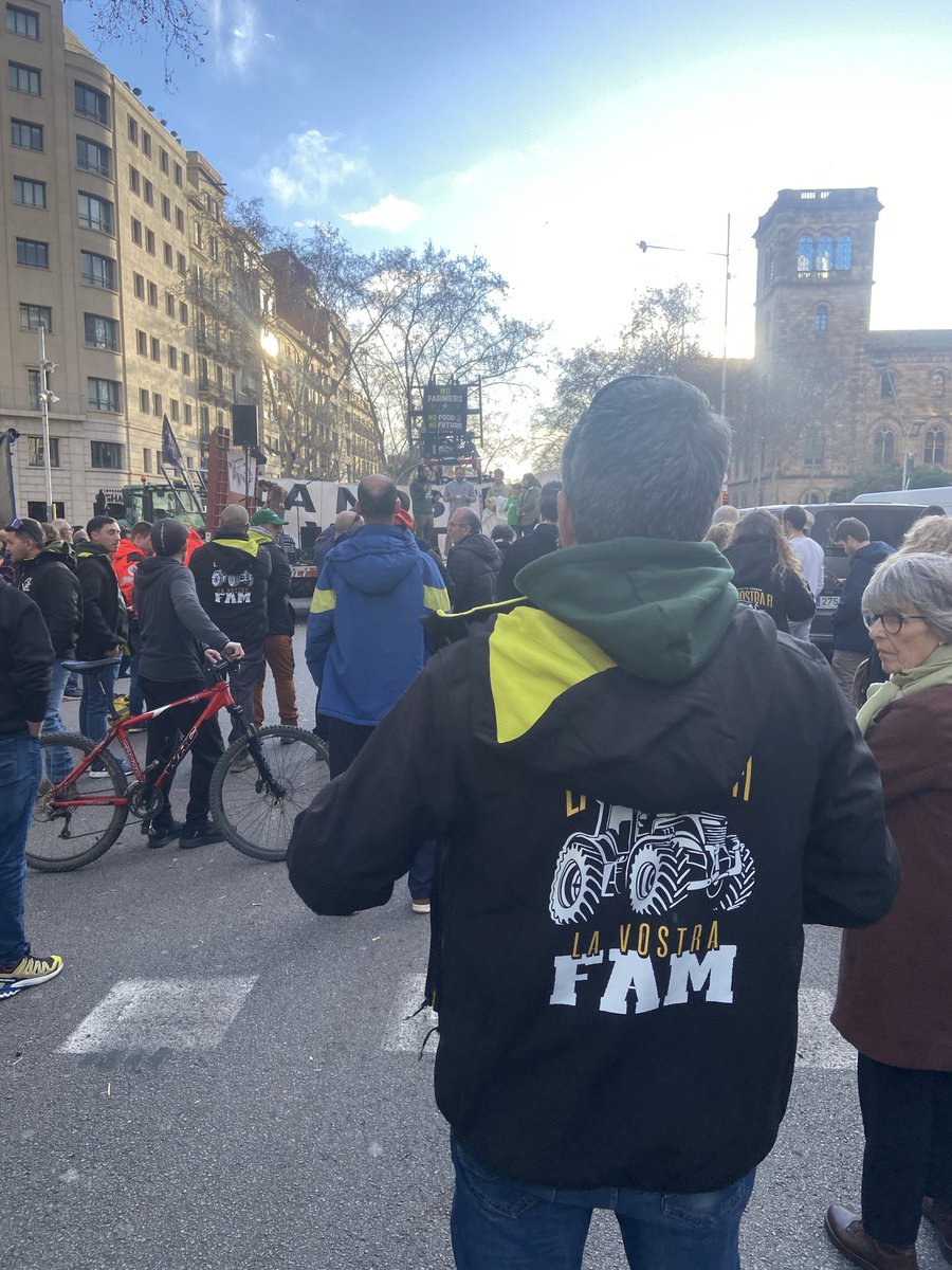 Francisco Valles Lopez tweet media