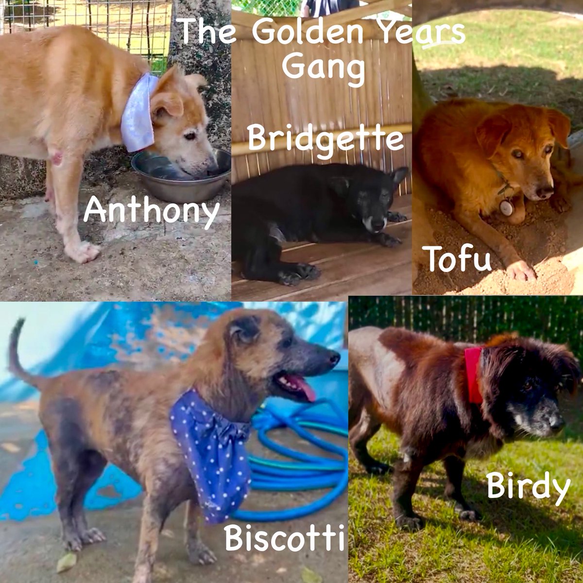 Nick Yada Yada tweet media