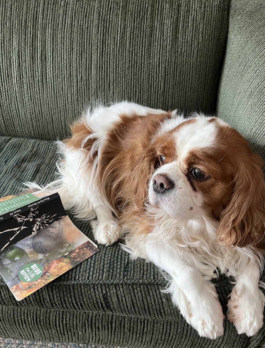 Melissa Ostrom tweet media