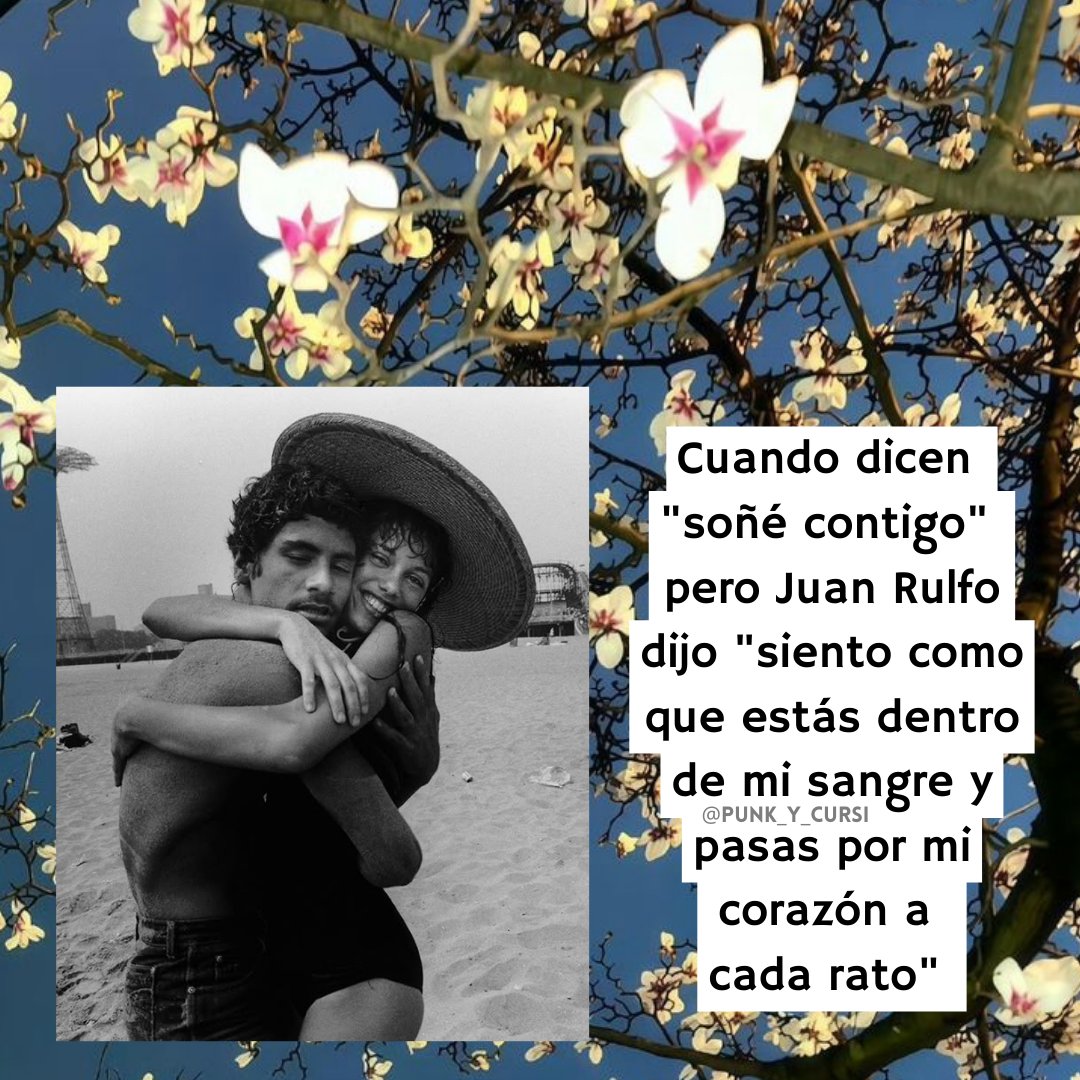punk_y_cursi's tweet photo. 🌸🌸🌸🌸 https://t.co/IUNquJPTKV