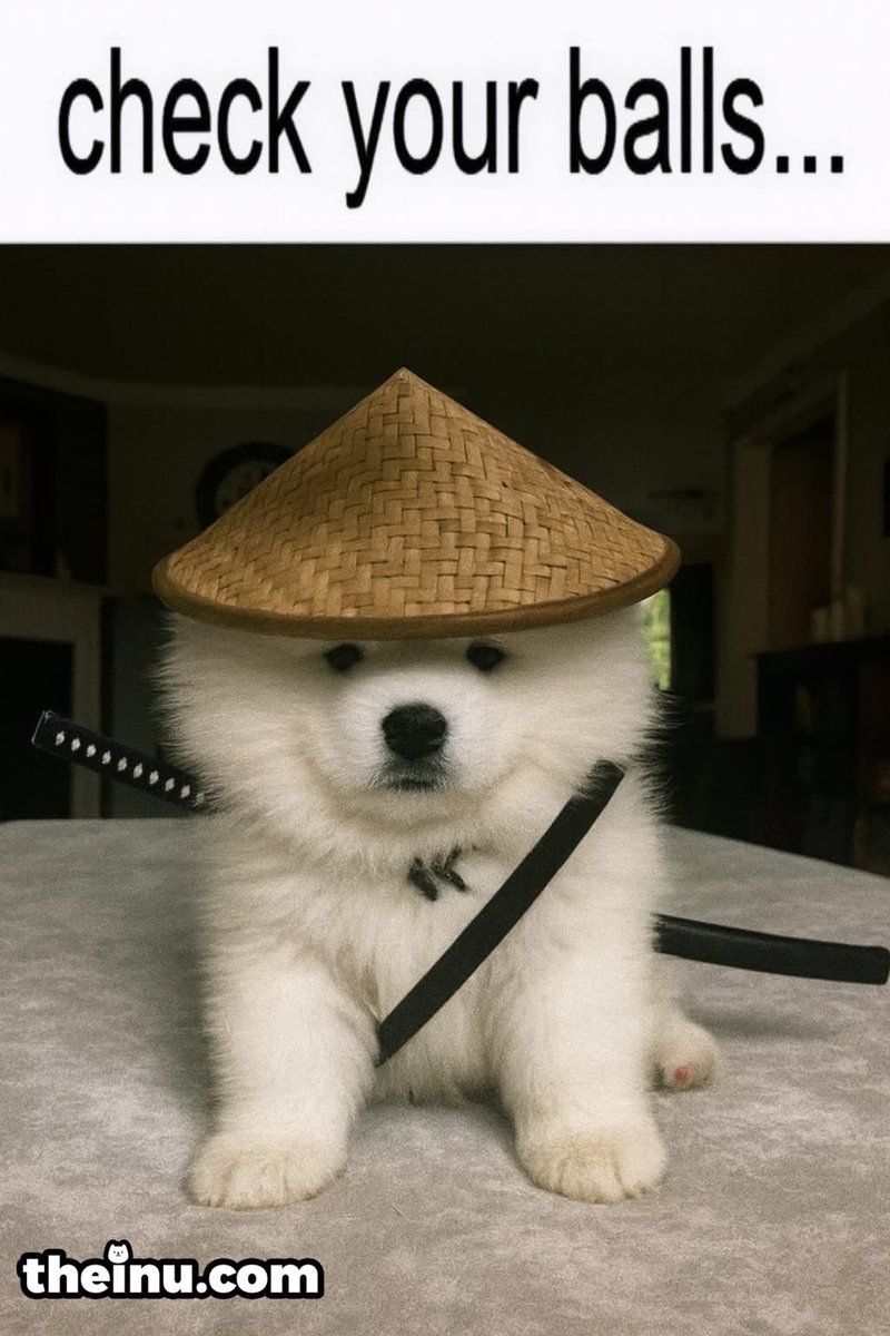 INU. tweet media