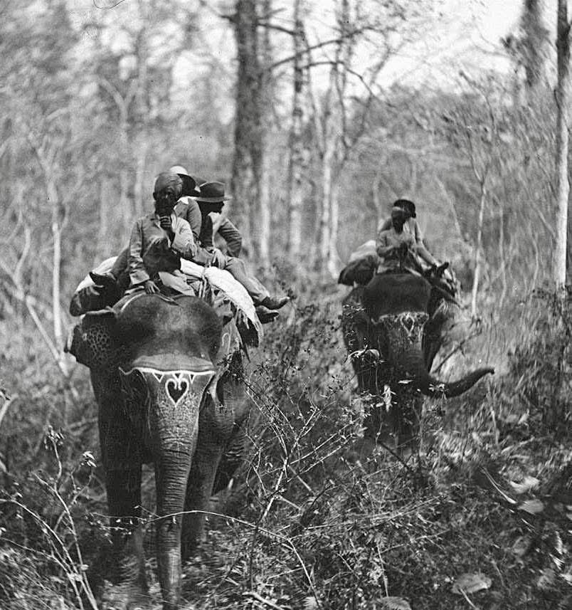In 1956 at Grauman's Chinese Theatre in Hollywood, I was 8 and watching “Around the World in 80 Days” a great film and my first adventure movie. This photo reminds of that movie, here Aloha is riding these beautiful elephants in Koch Bihar, India.

AlohaWanderwell.com/movies
RDT