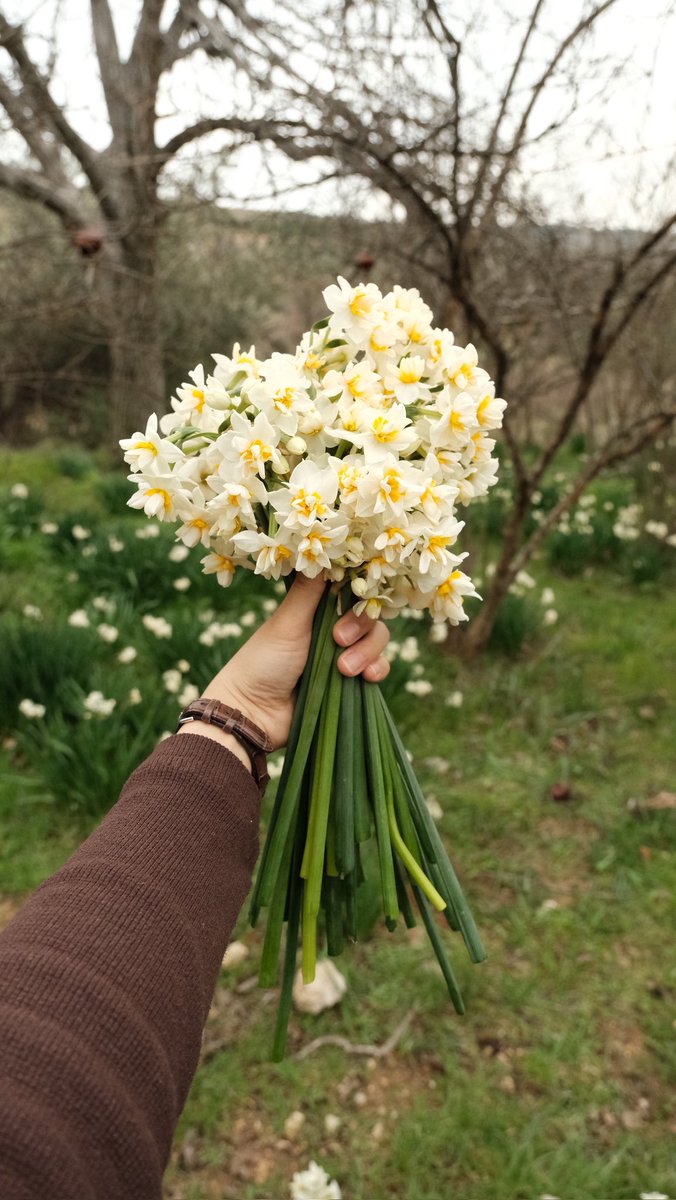 rahimegl_'s tweet photo. Güzelliği abartılması gereken o çiçeksin 🍃 https://t.co/sL17yZdJEf
