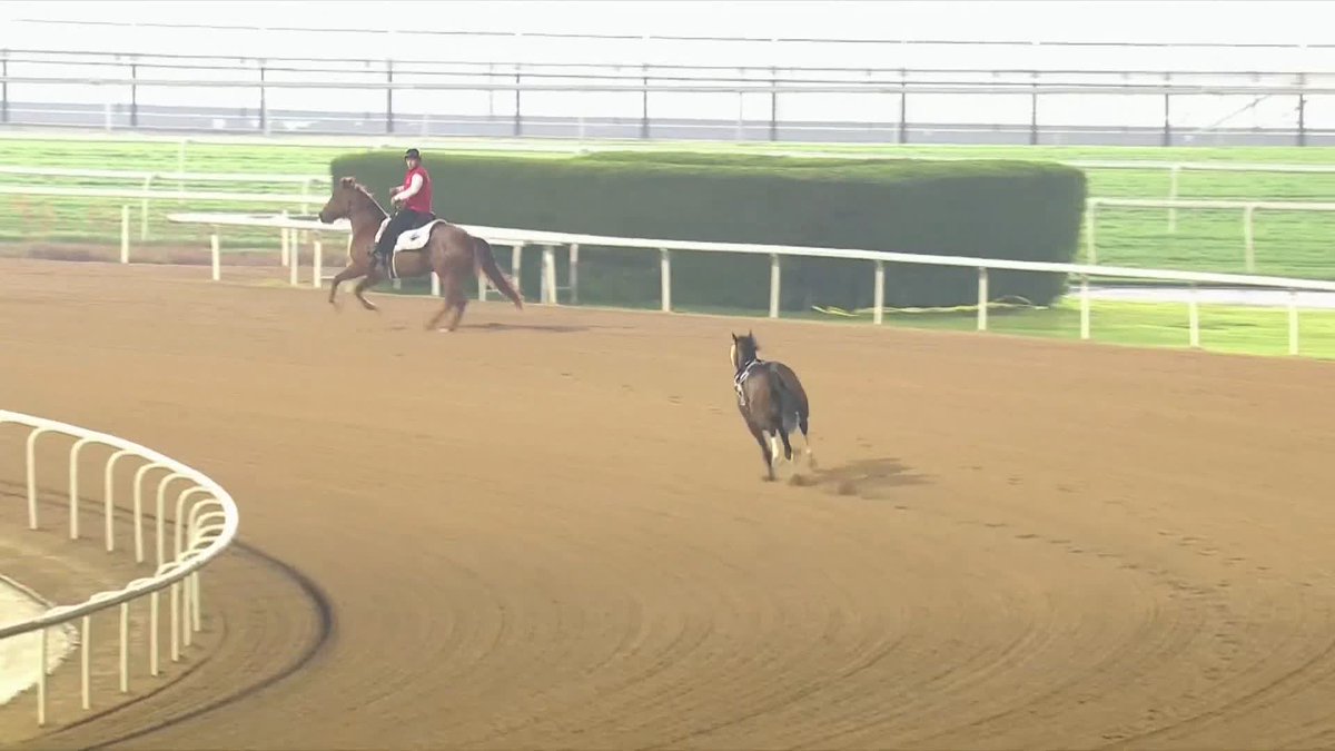 もっち☺︎(☺︎☺︎☺︎) (@mmm_aaa_4984120) / Posts / X