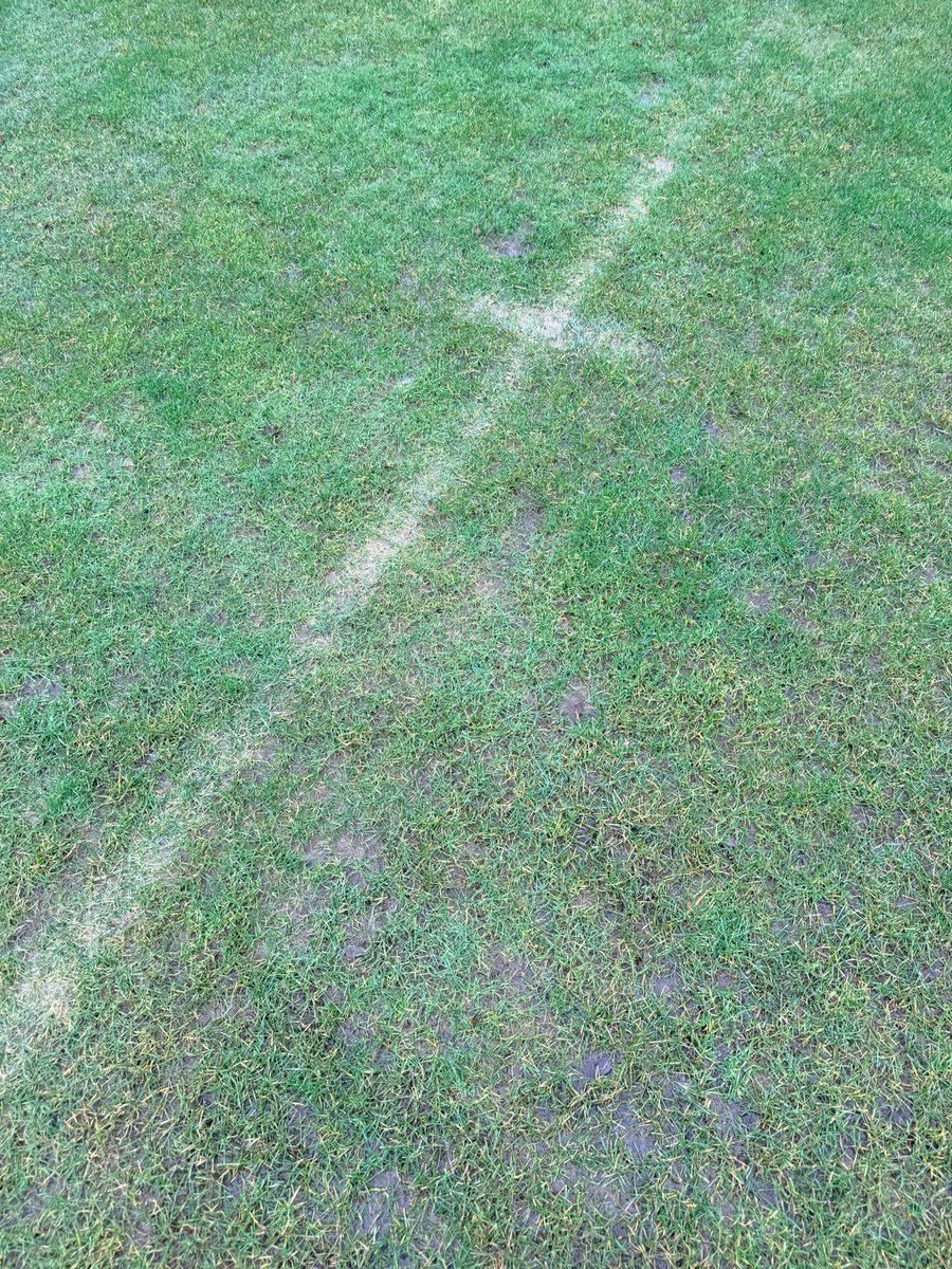 turfcareblog's tweet image. Won’t be overmarking today ❗️

#waterlogged