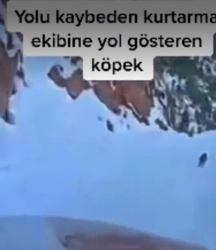 Çadırları para karşılığında satanlar insan !

Yolunu kaybeden ekibi yardım bekleyen köye götüren ise köpek !

Bunları #unutamayız

Unutmak yok, affetmek yok, helalleşmek yok! #6Şubat2023
