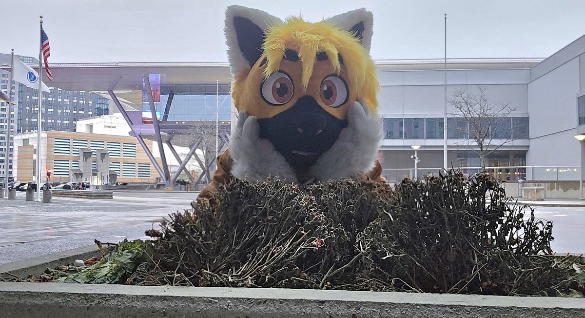 Total Trash Mammal tweet media