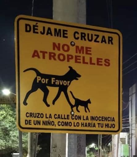 Sabueson's tweet image. 