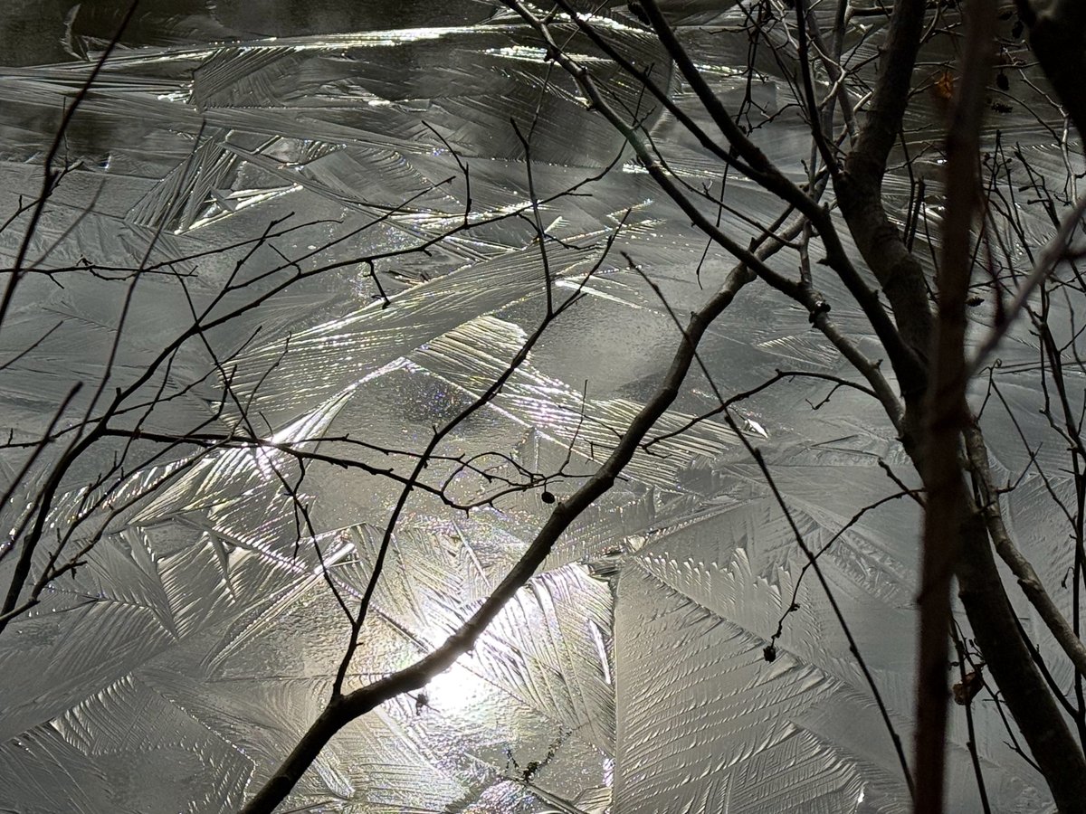 Bill Leslie tweet media