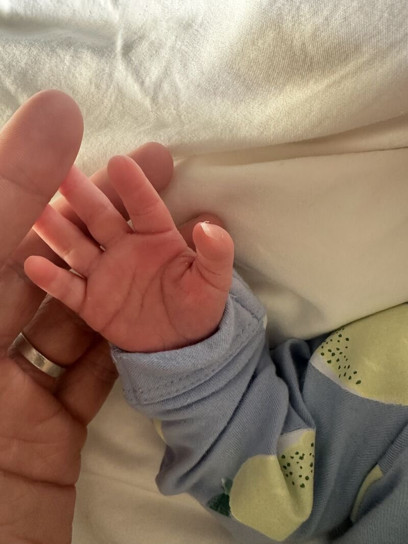 milo/spyke 🐶💚!! tweet media