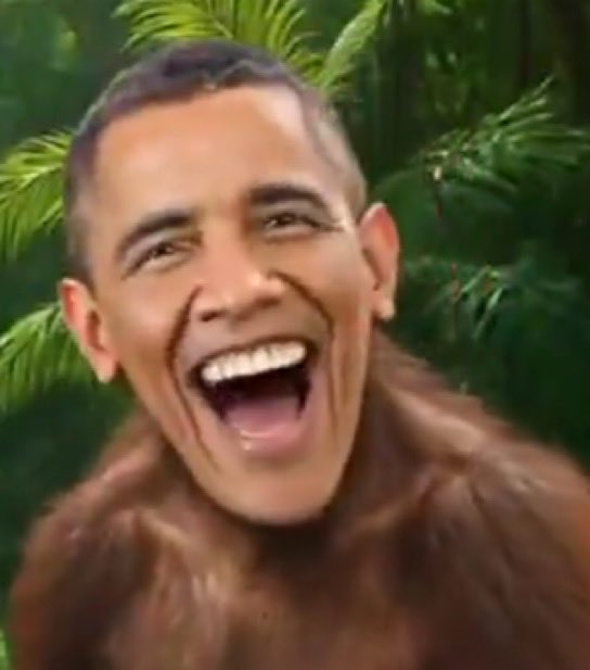 PoorGoat🇺🇸 tweet media