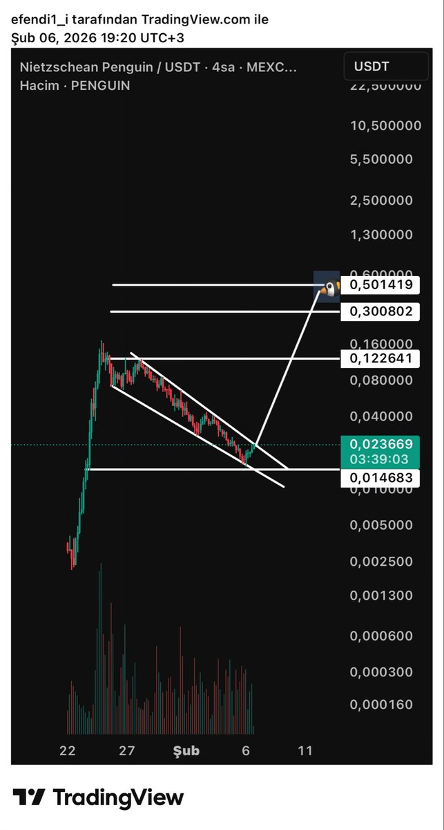 ?  $Penguin ?