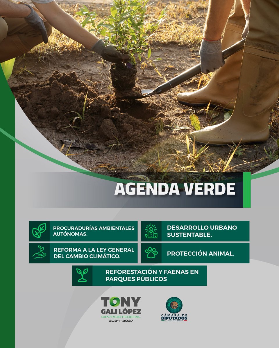Tony Gali Lopez tweet media