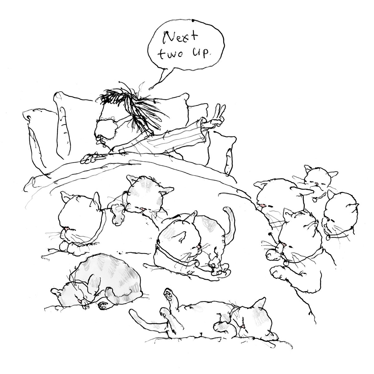 pants's tweet image. 