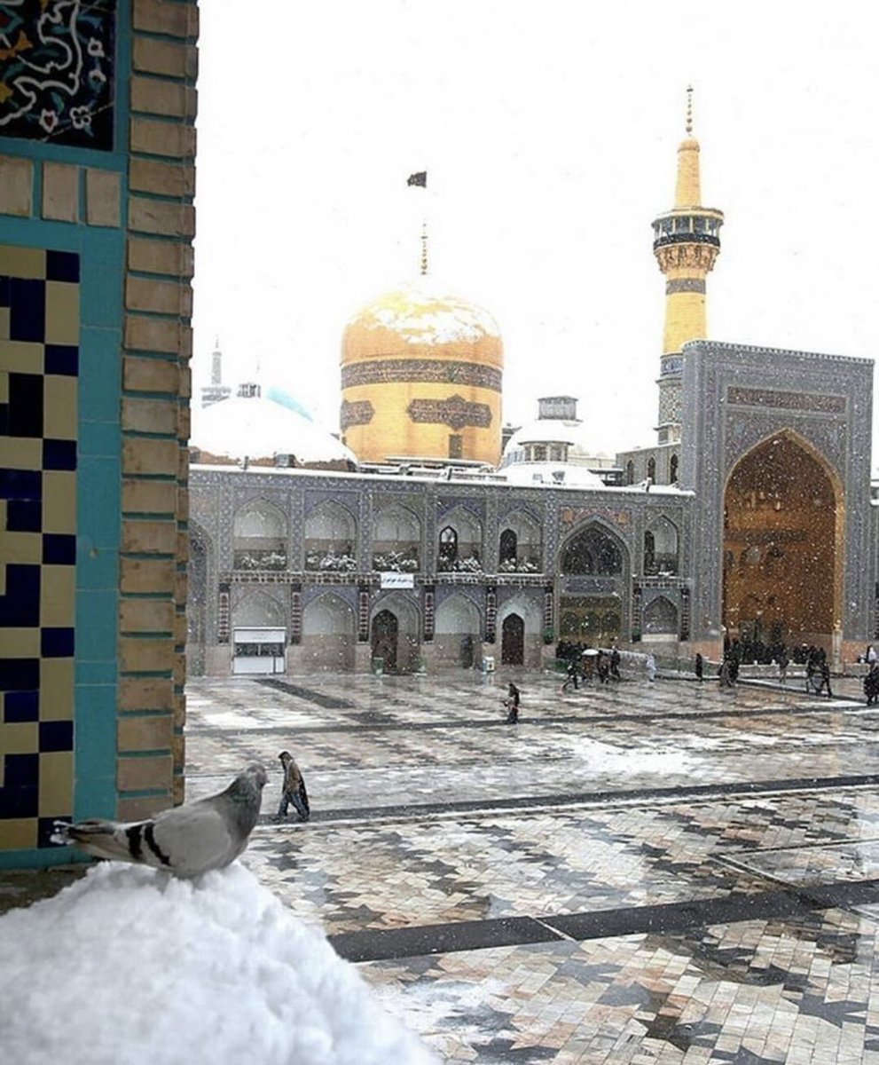 ammar7474mm's tweet photo. الثلج في حَرم الإمام عليّ بن مُوسَى الرِّضا عليهِ السَّلام أخذ قلبي وَروحِي! https://t.co/HZMCOuF6bb