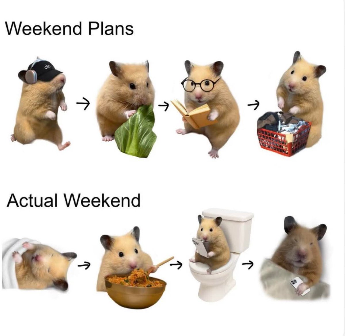 astralbaes's tweet image. 