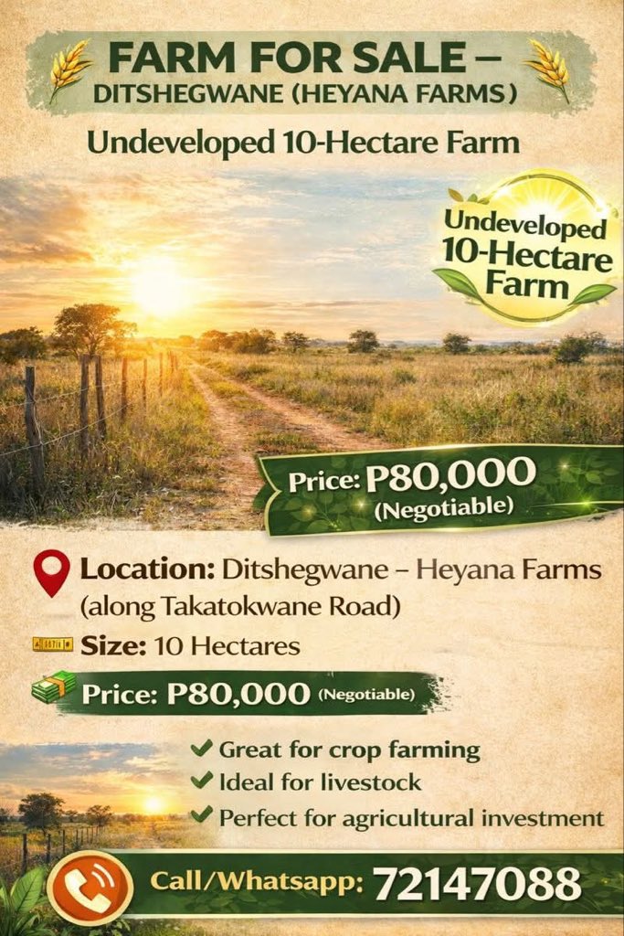 HR Consultant🇧🇼🇬🇧🇺🇸 tweet media