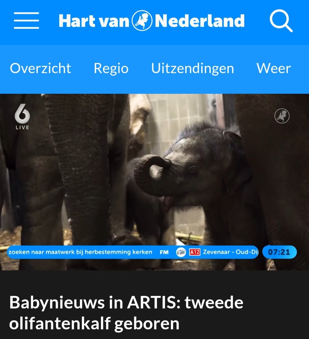 Falco van Hassel tweet media