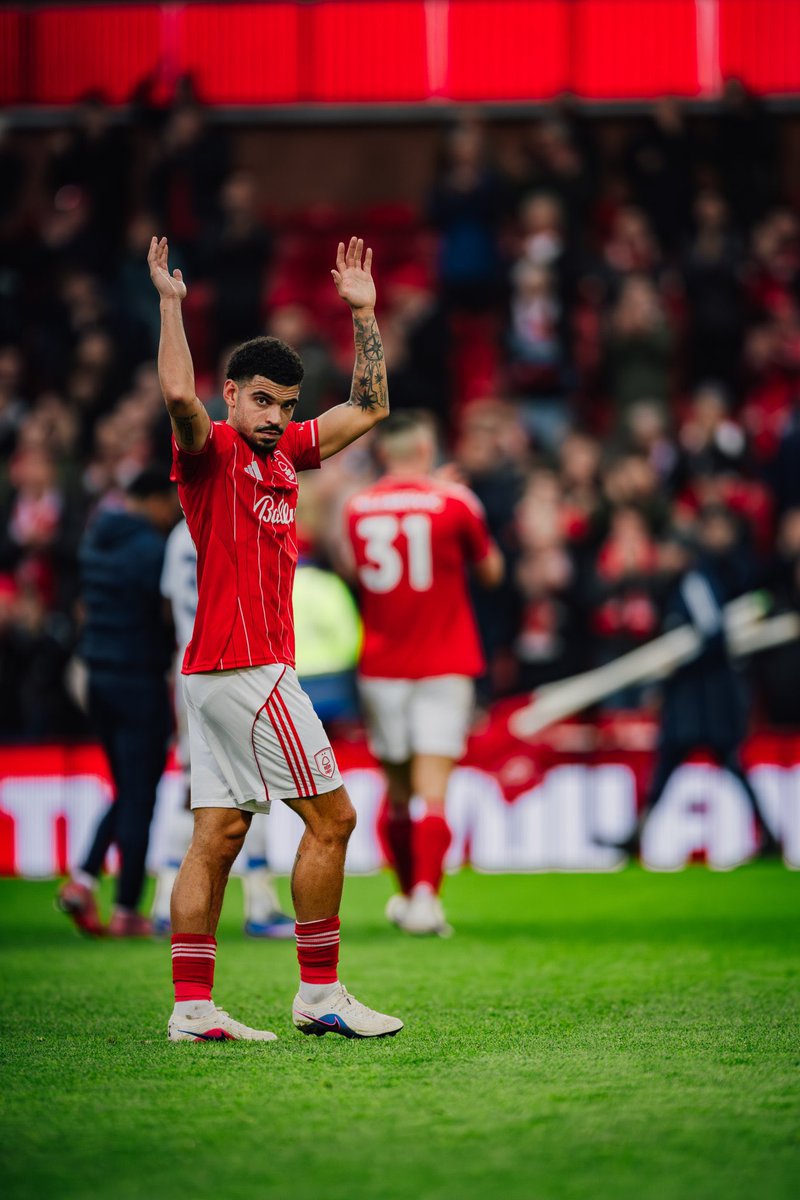 Talking Forest tweet media