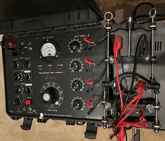 slaveofMasterTxT 24/7/365 slave tweet media