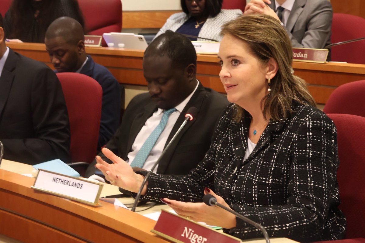 KingdomNL_UN's tweet photo. At the @AfricanUnionUN @EUatUN Ambassadors' meeting, Ambassador @BTahzibLie emphasized:

🔹 the importance of follow-up to the EU-AU Summit and Joint Declaration, including a Senior Officials Meeting;
🔹 peacekeeping and peacebuilding as opportunities for cooperation in New York. https://t.co/7DDzAPcJv2