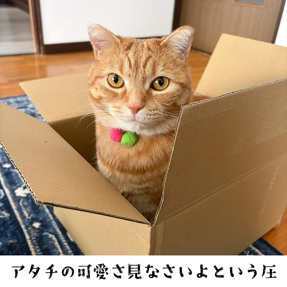 工藤マリ絵 【ハンドメイド】【開封動画】 (@mariekudou) / Posts / X