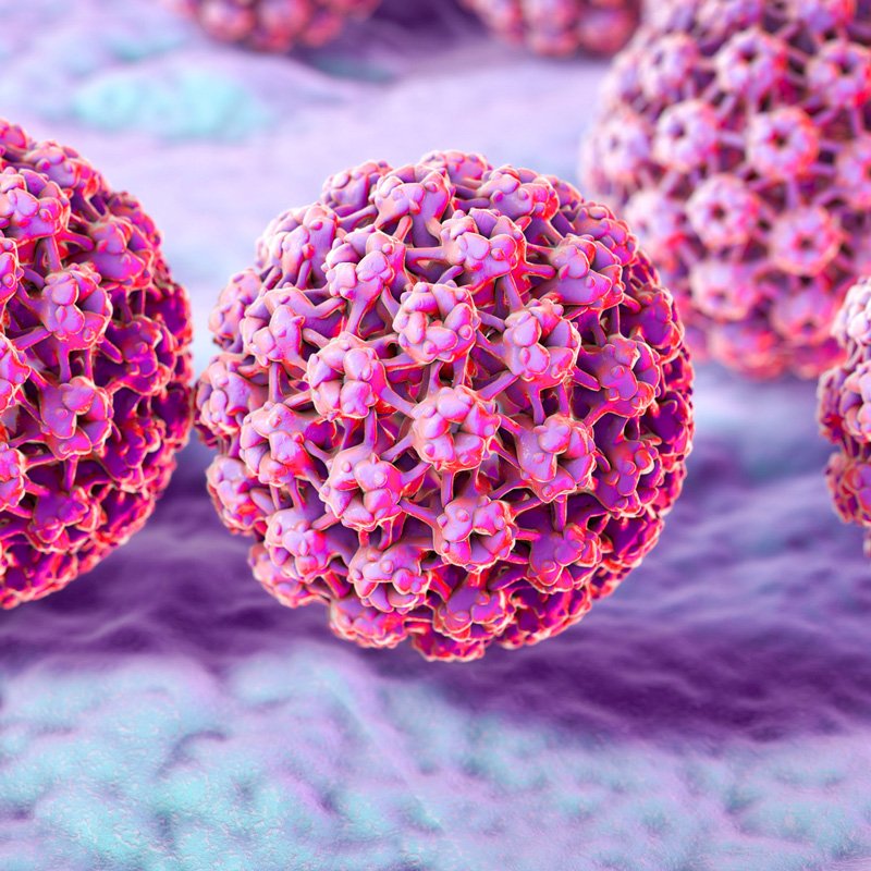 BREAKING: 

Mexican Researcher Eva Ramón Gallegos Achieves Major Breakthrough, Successfully Eliminating HPV in Controlled Clinical Studies

Mexican researcher Eva Ramón Gallegos has reached a major scientific milestone, successfully eliminating HPV in controlled clinical studies.