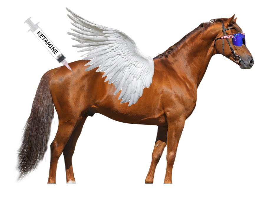 ketamineshadow's tweet photo. @cryptolyxe Time for the next 67coin, year of the horse, creator is cooking. Brother check real $FKH memes https://t.co/VQwMnwOquK