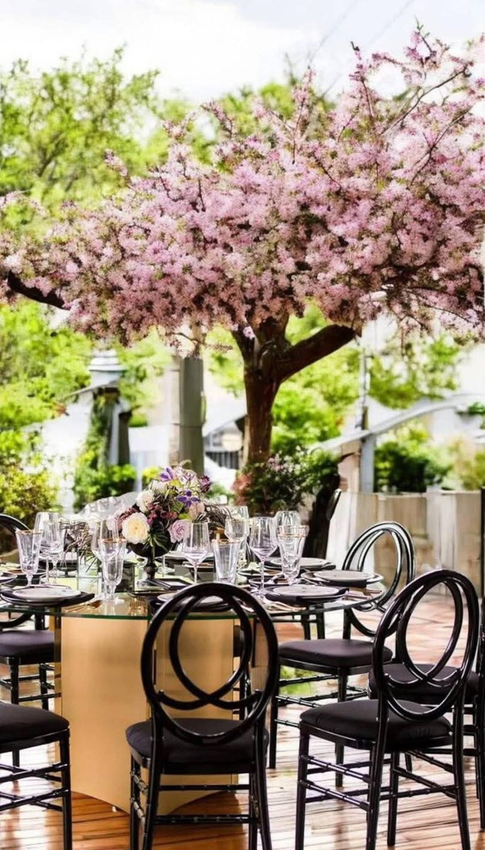 ✨ THE BLACK SERIES ✨
💎 Napoleón | Tiffany | DCo | Phoenix 💎
Las sillas de resina negras son 🔥 SÚPER VERSÁTILES 🔥 y elegantes, perfectas para cualquier evento, desde reuniones masivas hasta bodas de lujo. 🖤✨
💰 Precios increíbles desde $299.00 🤩*