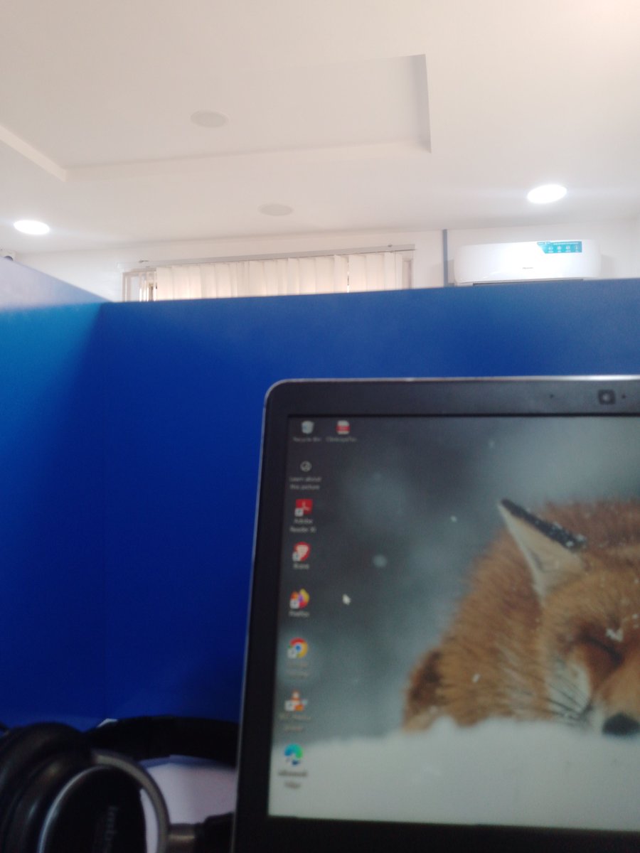 Tolu | WordPress | digital marketing specialist tweet media