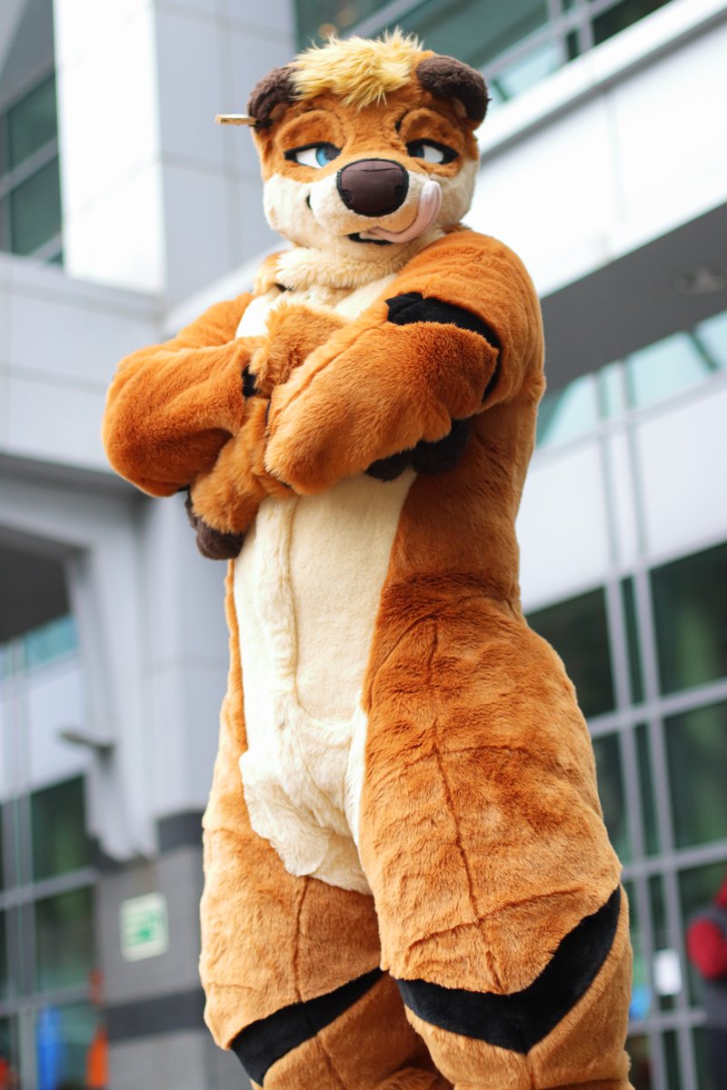 Odder 🦦🔜 FWA tweet media