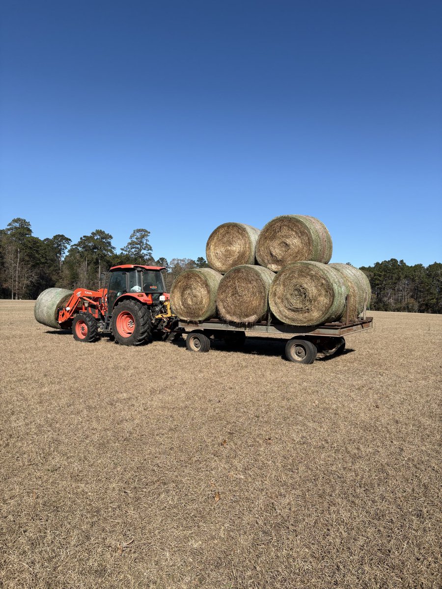 All the close hay has been fed… operation, doodlebug engaged… just noticed one of the trailer tires was made in 2003.. if it’ll make this season, I’ll buy a new one next.. I recall I’ve said that for 2  years…Just Ranching…🤠
