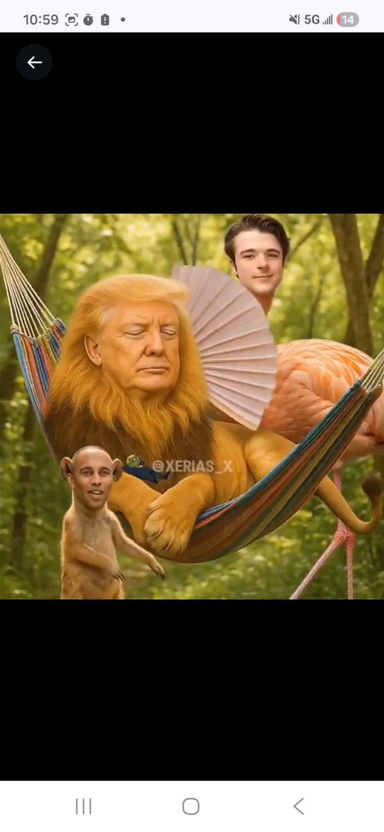 Wilfred Reilly tweet media