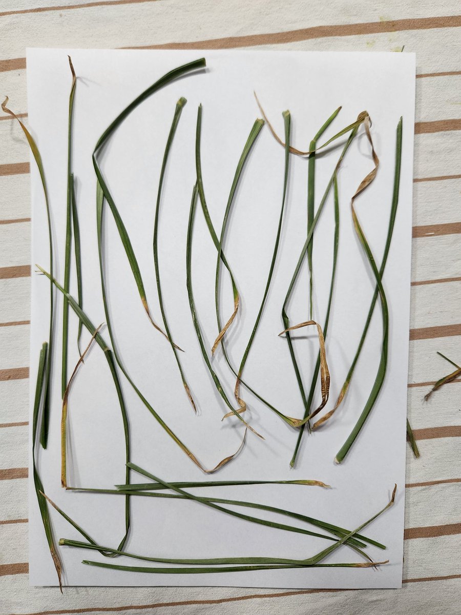 Agustin Winter tweet media