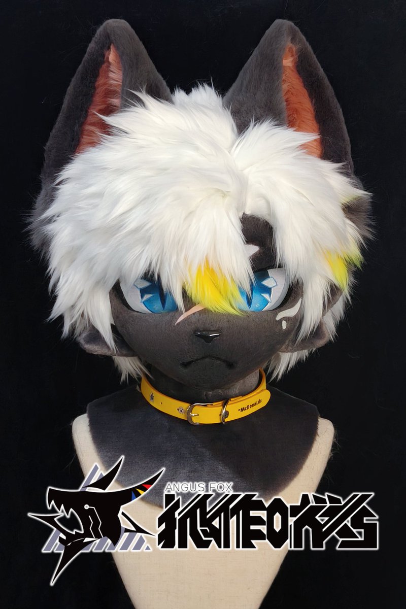 🦊_Angus tweet media