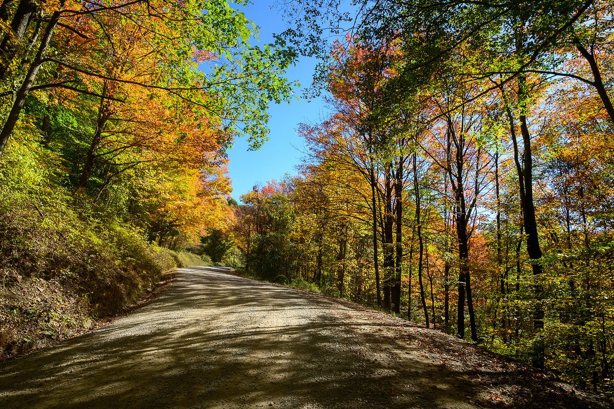 Did you know? 

West Virginia is the 3rd most forested state in the nation! 🌲 Our forests cover nearly 12 million acres. That’s a lot of trees to protect and manage. #WVForestry #ForestFacts 

Learn more about our State Forests: bit.ly/3WV4bQW