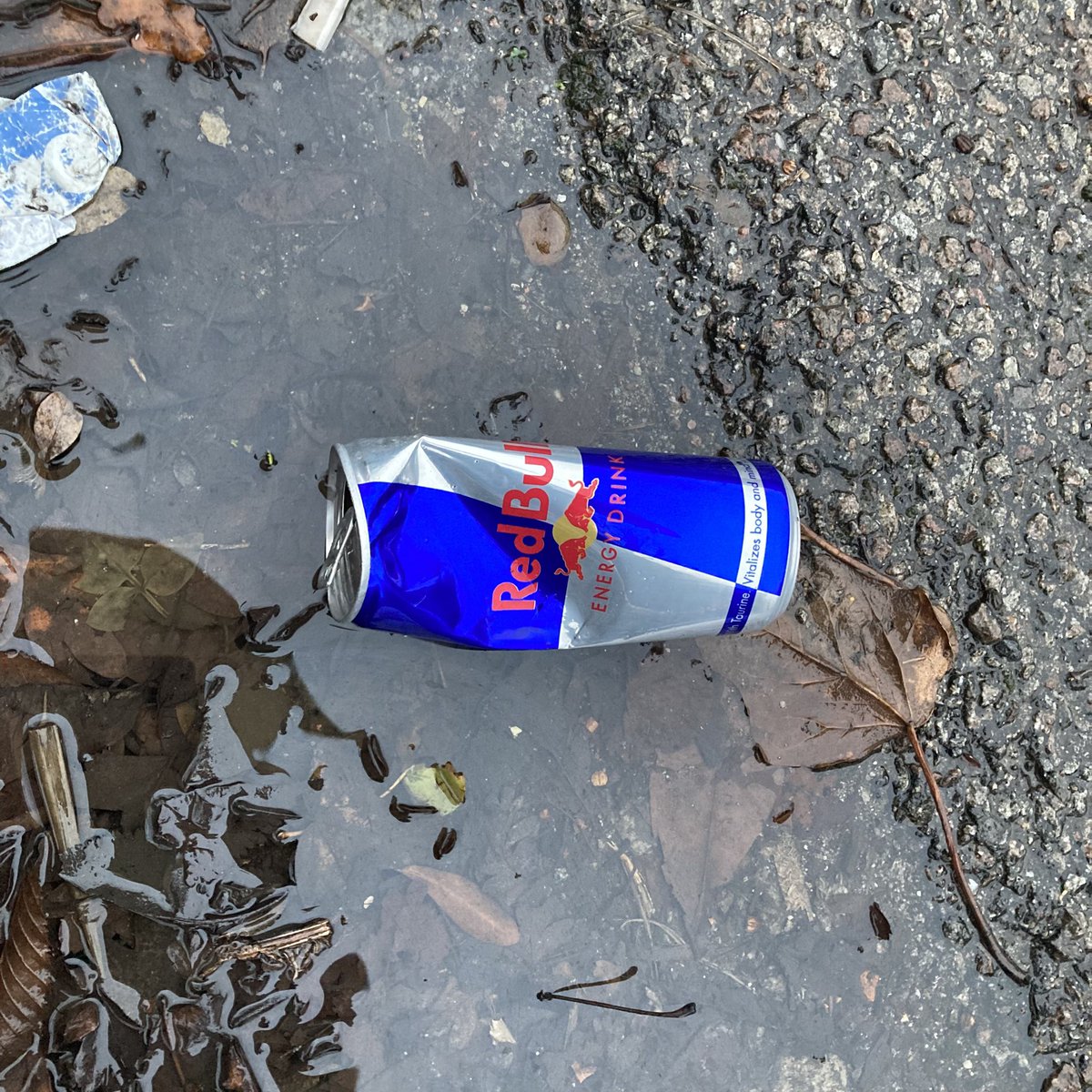 Red Bull Litter tweet media