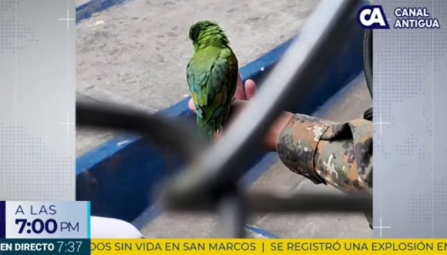 Mario Rosales tweet media