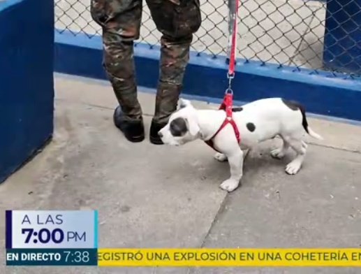 Mario Rosales tweet media