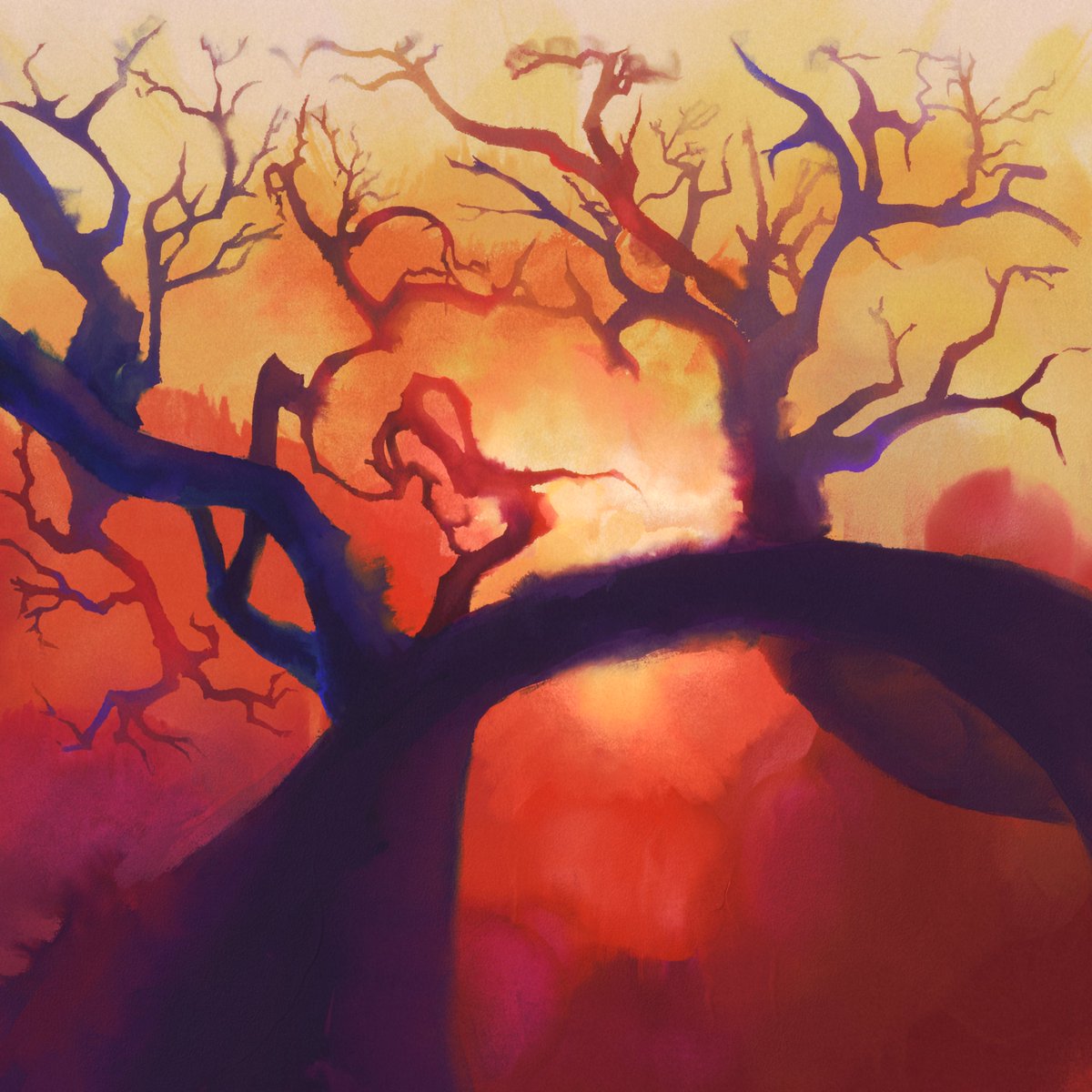 🦋popbot.work🦋 tweet media