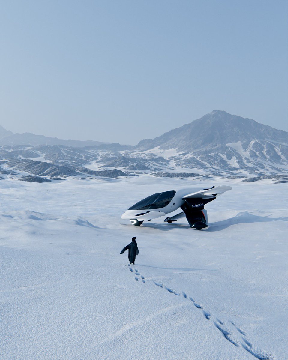 Like the penguin, we are on our own path.