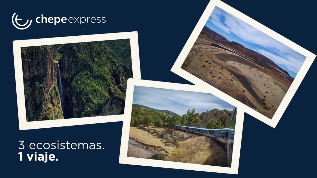 Chepe Express tweet media