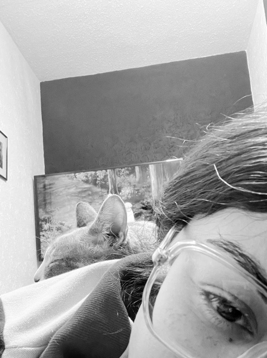 Kittyca70090017's tweet photo. 🖤 https://t.co/KauGlZWnOT
