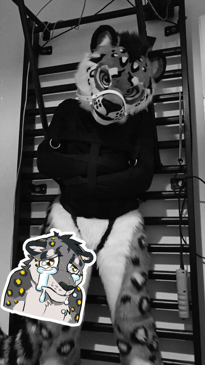 🇺🇦🇩🇪 AkoroSnep 🔜 FZ🇮🇹 East14🇩🇪 tweet media