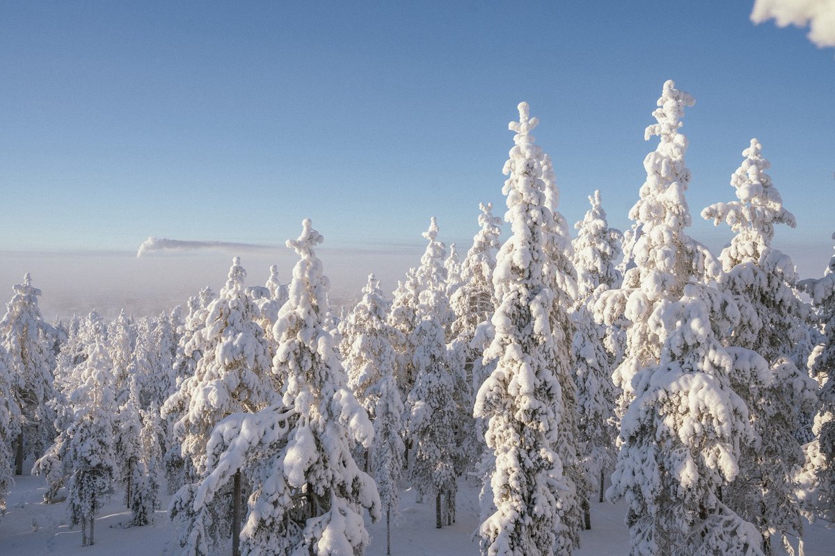 Martins_Linee's tweet photo. LAPZEMES ziema ir vismaz pāris līgas augstāk nekā ziema pie mums ❄️ https://t.co/S86tLq8dSS