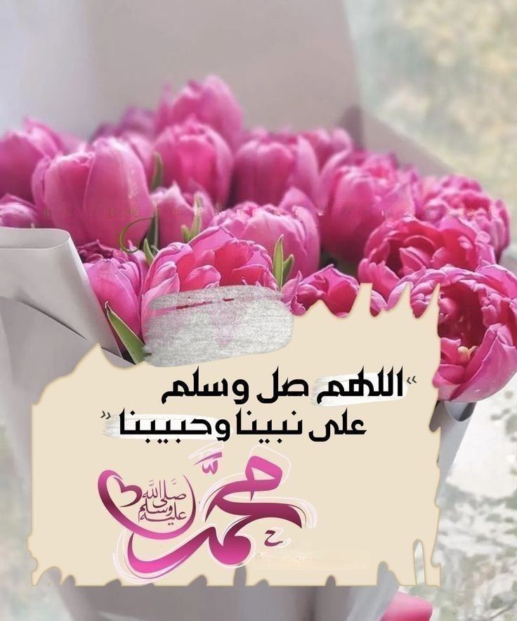 <a href="/optimuin/">طموح متفائلة 🇸🇦</a>